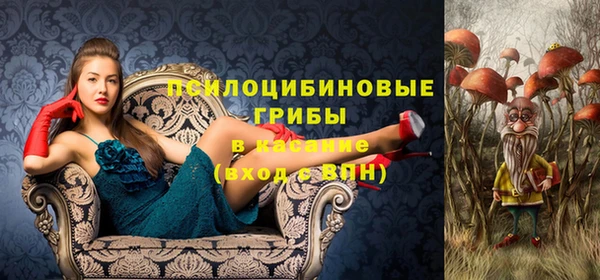 гашиш Горнозаводск