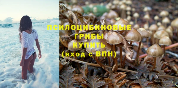 гашиш Горнозаводск